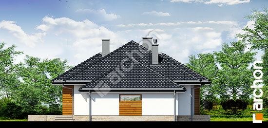 Бочний фасад Будинок в акебіях вер.2