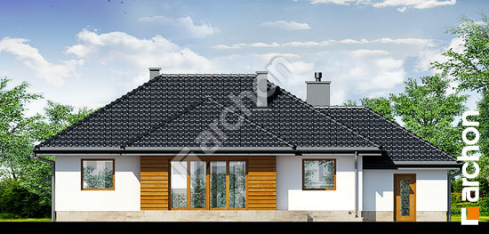 Дворовий фасад Будинок в акебіях вер.2