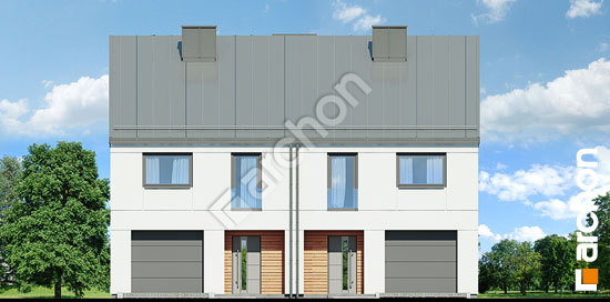 Передній фасад Будинок під гінко 12 (ГР2)