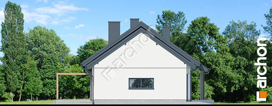 Боковой фасад Дом в лещиновнике 8 (Г)