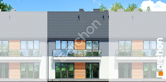 Дворовой фасад Дом в фиалках 9 (Р2С)