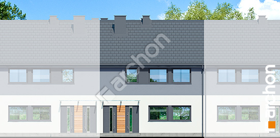 Передний фасад Дом в фиалках 9 (Р2С)