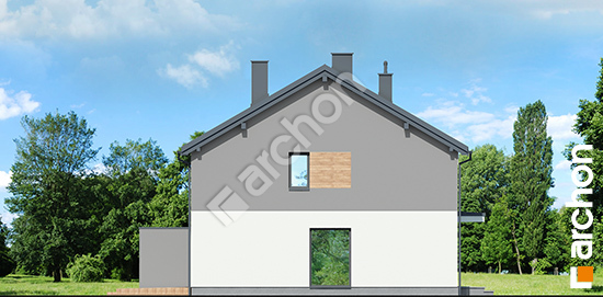 Боковой фасад Дом в ривиях 4 (Р2Б) вер.2