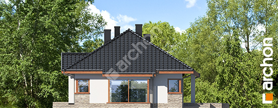 Бочний фасад Будинок в гаурах 4 (Г2Н)