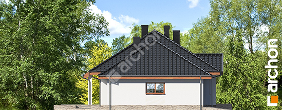 Бочний фасад Будинок в гаурах 4 (Г2Н)