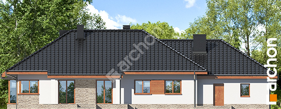 Дворовий фасад Будинок в гаурах 4 (Г2Н)