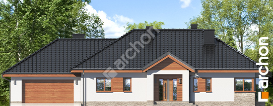 Передний фасад Дом в гаурах 4 (Г2Н)