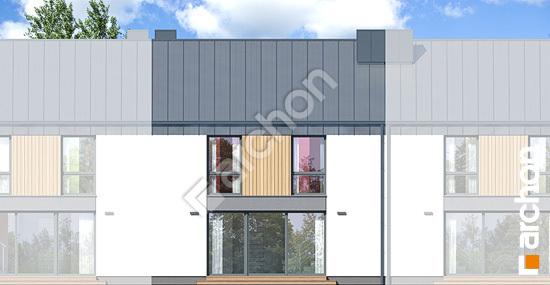 Дворовой фасад Дом в нарциссах 5 (С)