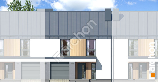 Передній фасад Будинок в нарцисах 5 (С)