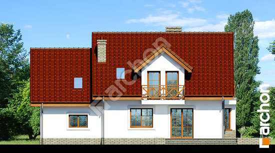 Дворовий фасад Будинок в рододендронах 19