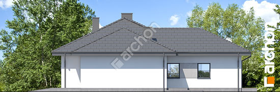 Бочний фасад Будинок в мандевілі (Г2)