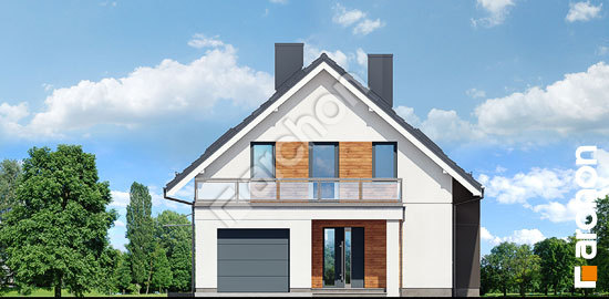 Передний фасад Дом во флоксах 2