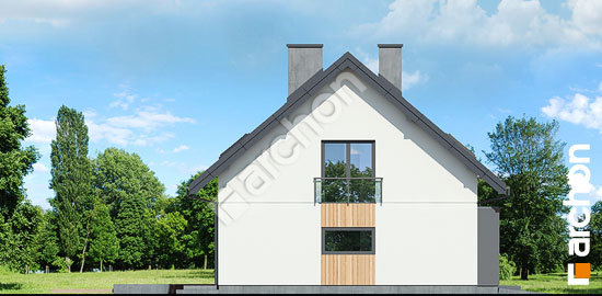 Боковой фасад Дом в малиновках 7 (Г)