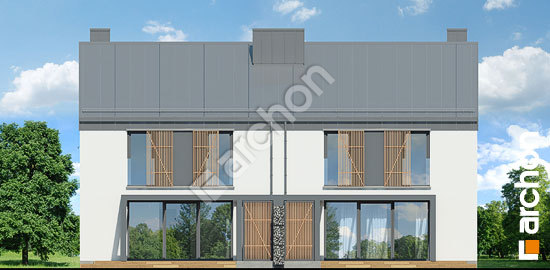 Дворовой фасад Дом в нарциссах (Р2) вер. 2