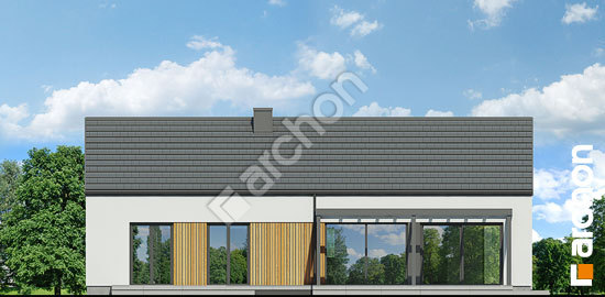 Дворовий фасад Будинок в оливниках 3 (Е) ВДЕ