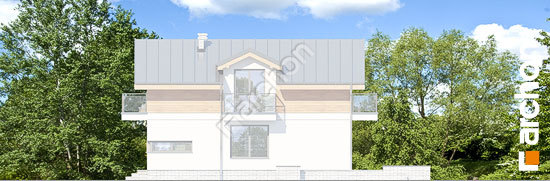 Боковой фасад Дом в буддлеях (Б) вер.3