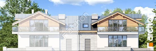 Дворовой фасад Дом в буддлеях (Б) вер.3