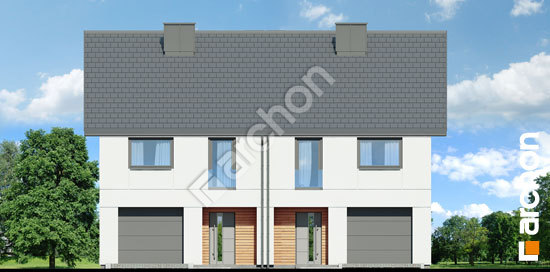 Передний фасад Дом под гинко 24 (ГР2)