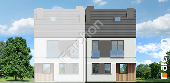 Передний фасад Дом под гинко 27 (Б)