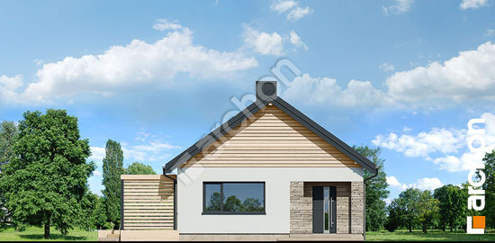 Передній фасад Будинок у оливниках ВДЕ