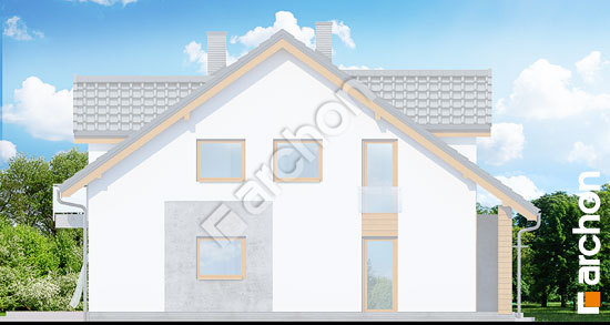 Боковой фасад Дом под гинко 6 (ГБ)