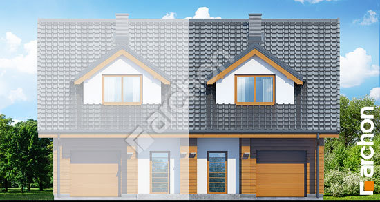 Передній фасад Будинок під гінко 6 (ГБ)