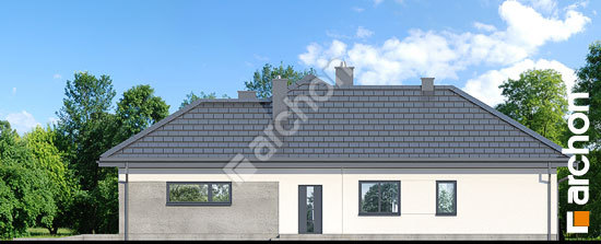 Боковой фасад Дом в ренклодах 6 (Г2)