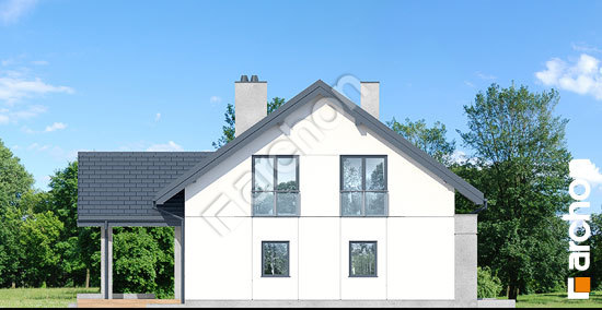 Боковой фасад Дом в аурорах 7 (Г2)