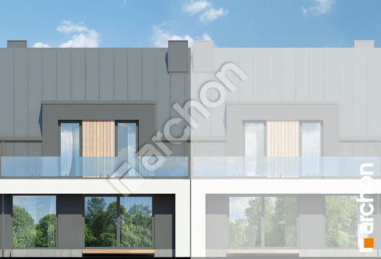 Дворовий фасад Будинок в клематисах 27 (С)