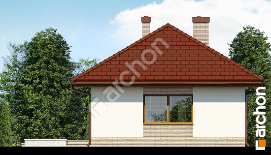 Дворовой фасад Дом в гравілатах вер. 2