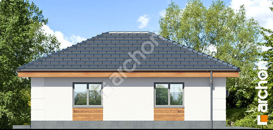 Бочний фасад Г24 - Одномісний гараж