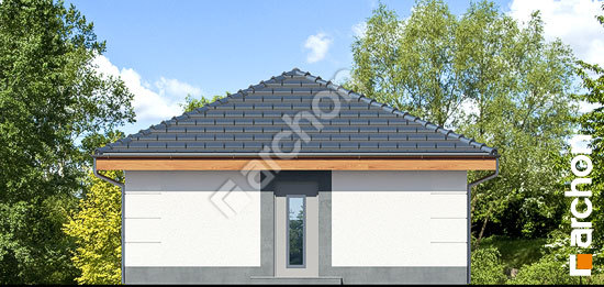 Дворовий фасад Г24 - Одномісний гараж