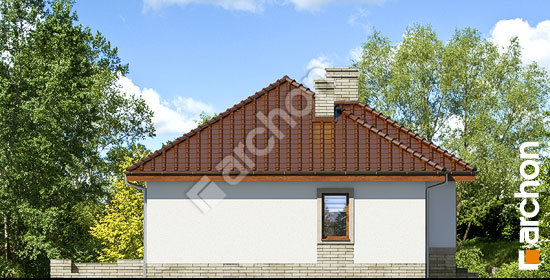 Боковой фасад Дом в вереске 2 (Мп)