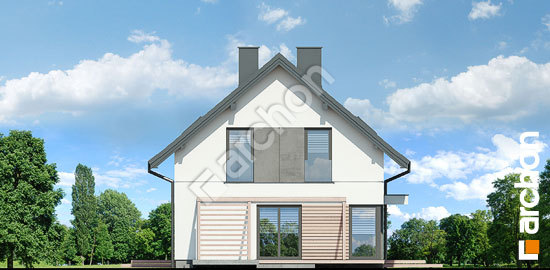 Боковой фасад Дом в астранциях