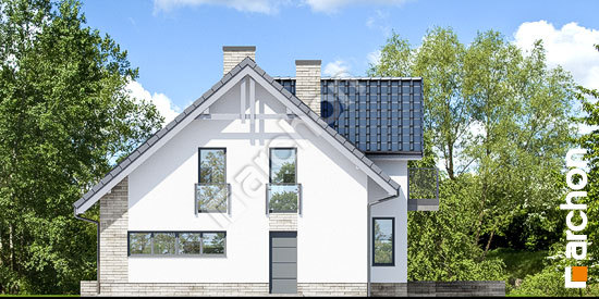 Боковой фасад Дом под личи 5 (П)