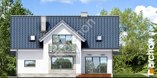 Дворовой фасад Дом под личи 5 (П)