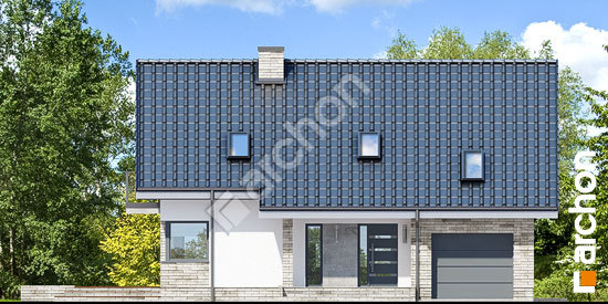 Передний фасад Дом под личи 5 (П)