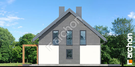 Бочний фасад Будинок в яблонках 18