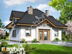 Проект будинку ARCHON+ Будинок в незабудках (Н) вер.2 