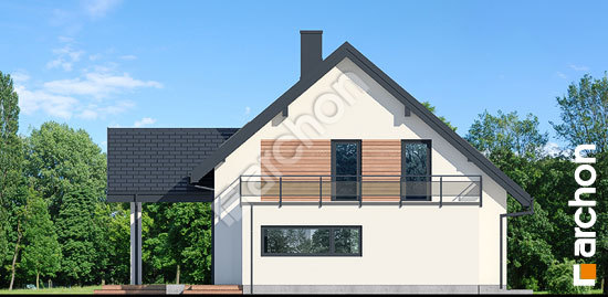 Бочний фасад Будинок в аурорах 9 (Г)