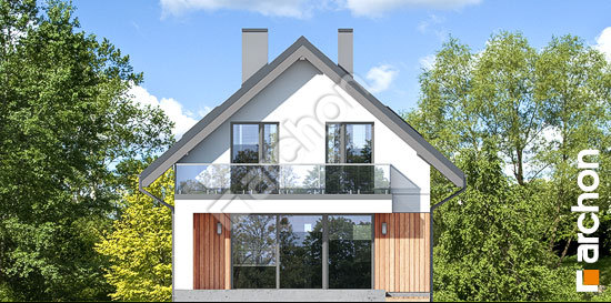 Дворовий фасад Будинок в сон-траві 4