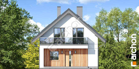 Передний фасад Дом в сон-траве 4