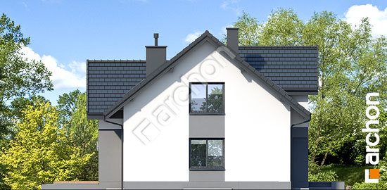 Бочний фасад Будинок під софорою (П)