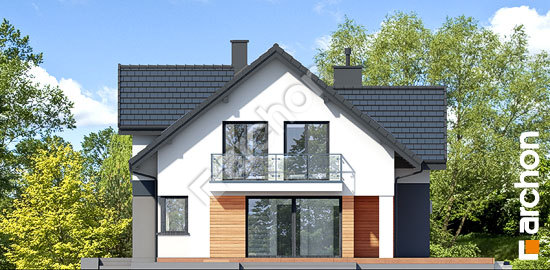 Бочний фасад Будинок під софорою (П)