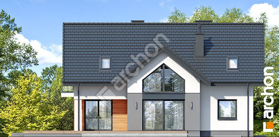 Дворовий фасад Будинок під софорою (П)