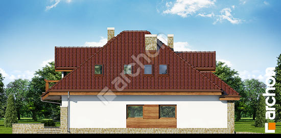 Боковой фасад Дом в зефирантесе вер.2