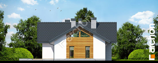 Дворовой фасад Дом в глоксинии вер.2