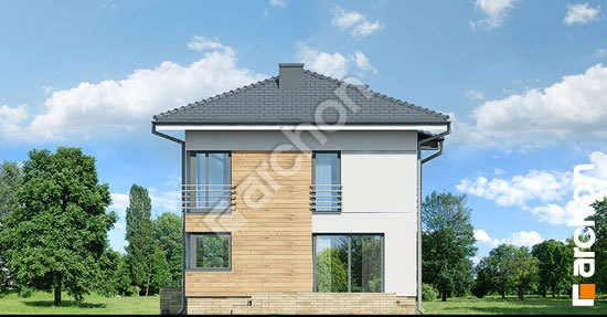 Бочний фасад Будинок в мирті 5