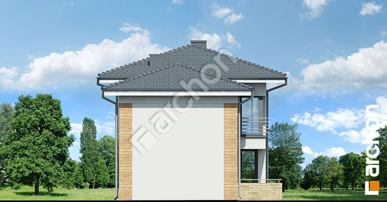 Бочний фасад Будинок в мирті 5