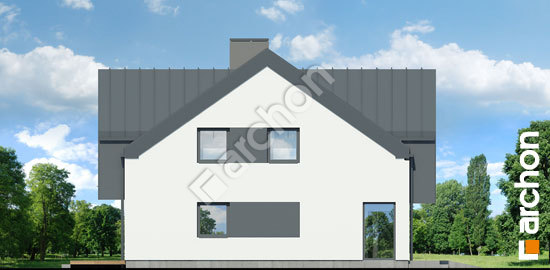 Бочний фасад Будинок в горіхах (Р2)